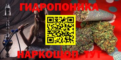 гашик Кандалакша