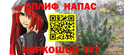 гашик Кандалакша