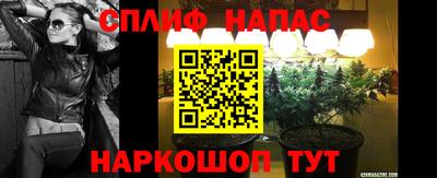 гашик Кандалакша