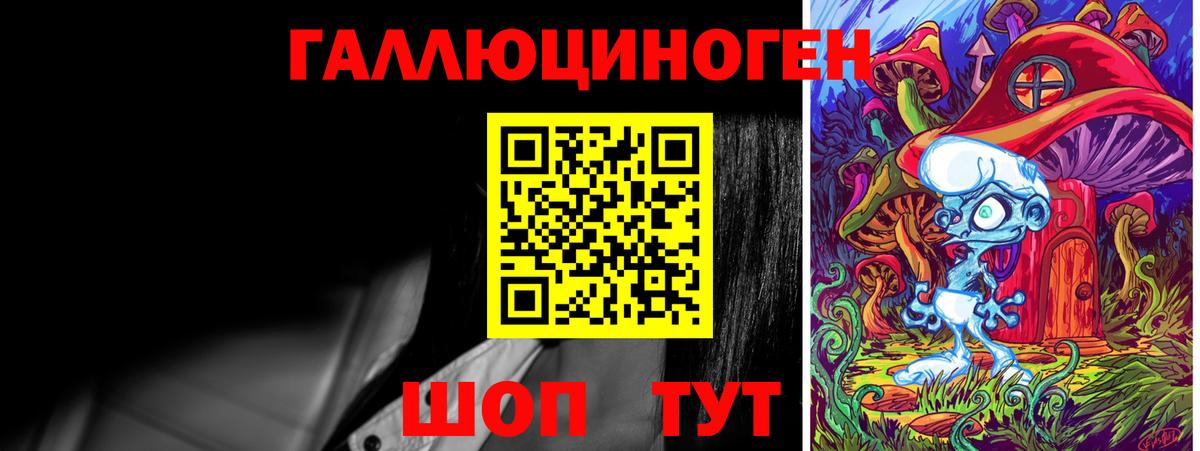 Волхов  Псилоцибиновые грибы Magic Shrooms  Псилоцибиновые грибы Psilocybine cubensis  Вход с VPN 